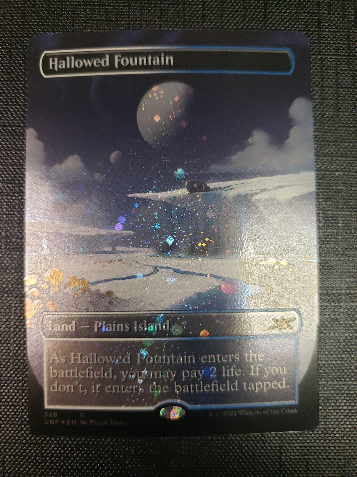 【MTG】アリーナfoilランド(NM)　まとめ売り10枚 Foil】《沼/Swamp》(ICE版アリーナFoilランド)[ARENA] 土地