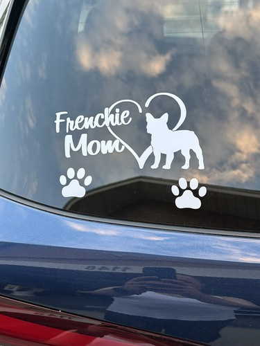 Foto dell'oggetto di un acquirente verificato