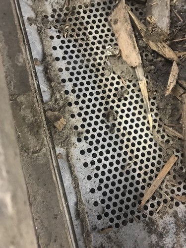 Antique Grain Cleaner