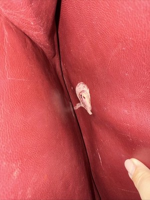 Artikelfoto(s) von einem verifizierten Käufer