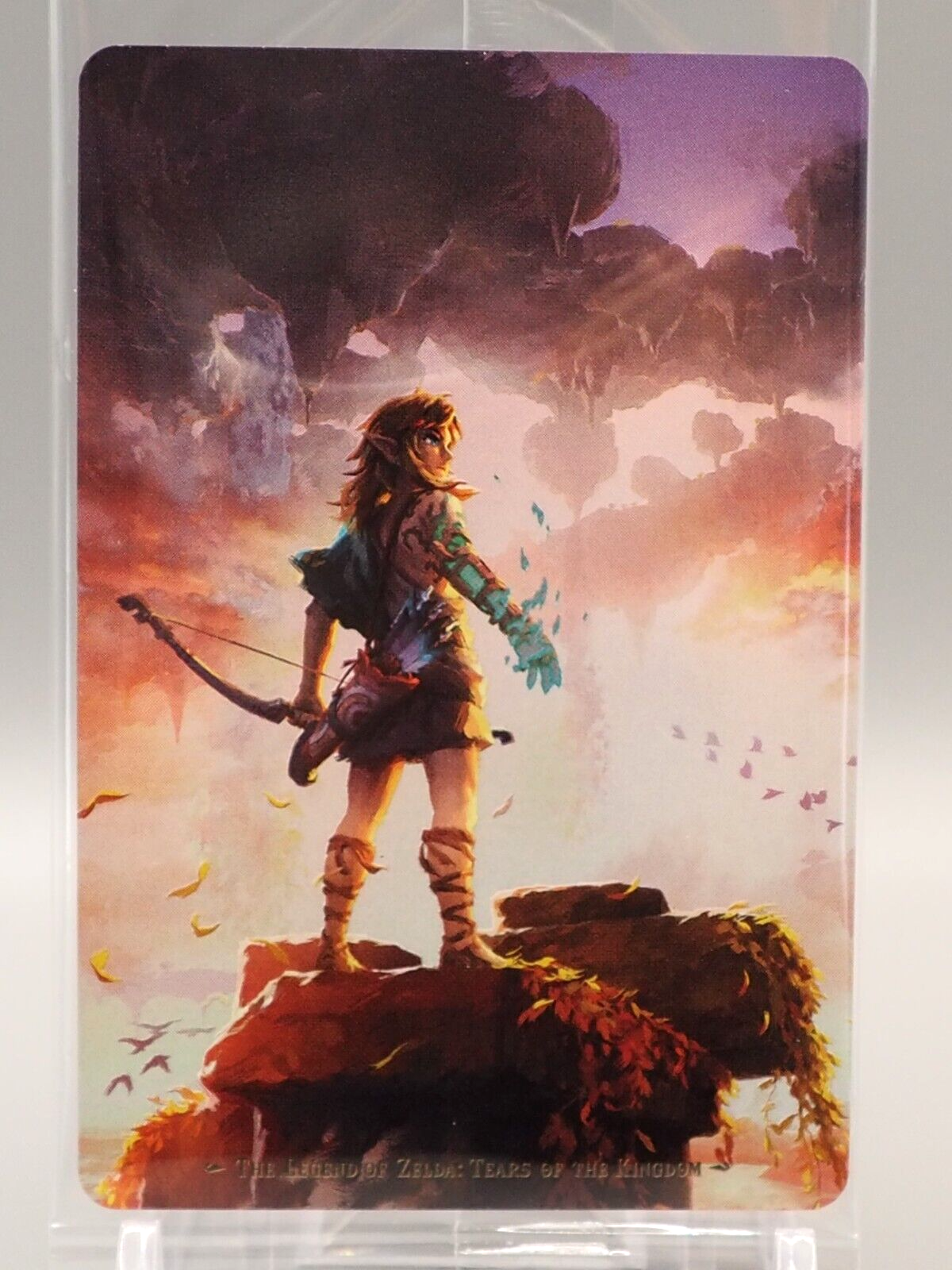 Link The Legend of Zelda Tears of the Kingdom Wafer Card