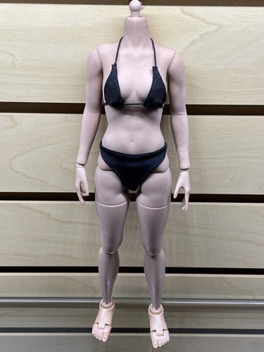 - Custom Female Body Bundle - 1/6 Scale Read Desc