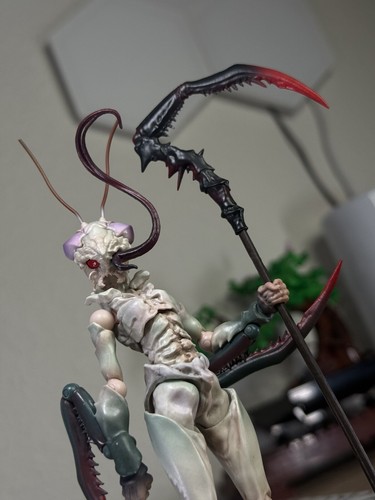 Fotos del artículo de un comprador verificado