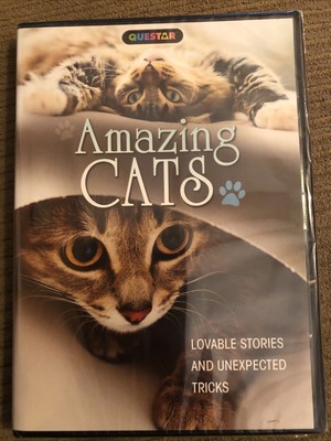 Questar Amazing Cats (DVD)
