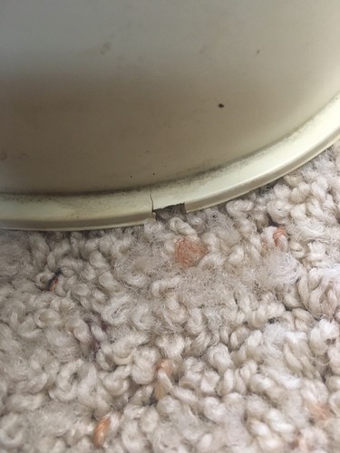 Hamms Beer Plastic Have Hamms Bear Display