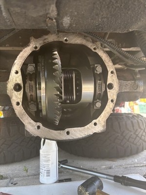 Photos de l'objet d'un acheteur vérifié