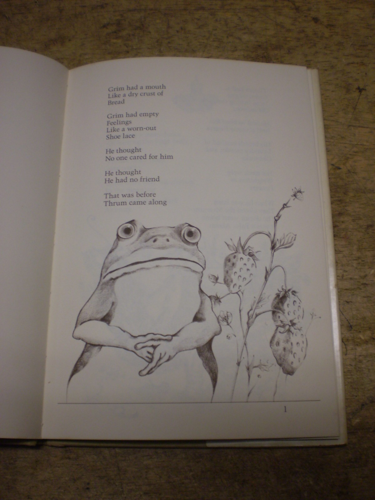 Gullband Susan Musgrave Douglas Ltd. Vancouver Illustrated Rikki RARE Edition