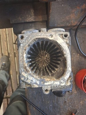 Fotos del artículo de un comprador verificado