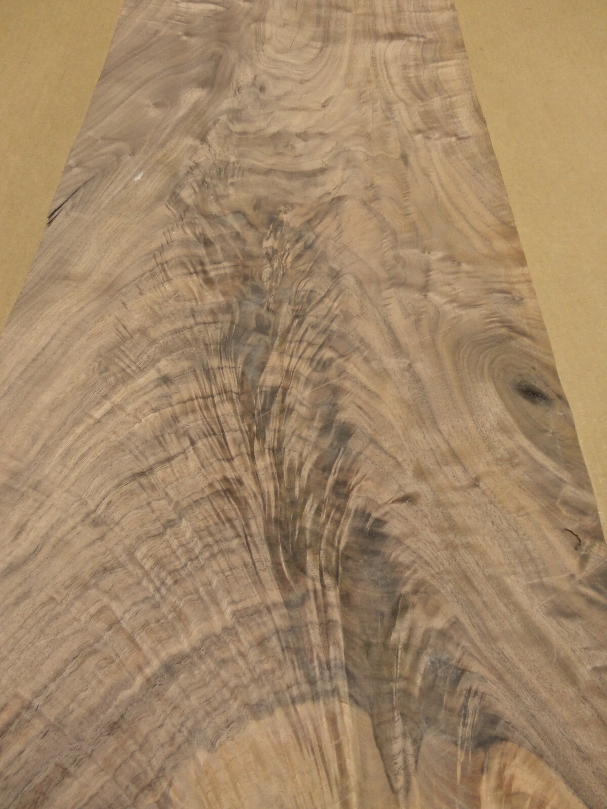 【新品・未開封】solol wood(walnut) 新品・未開封】solol wood(walnut) ZX149 Pine Medium Wood