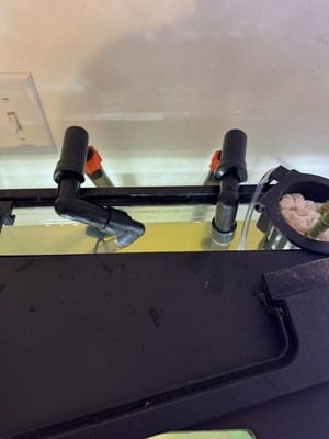 Fotos del artículo de un comprador verificado