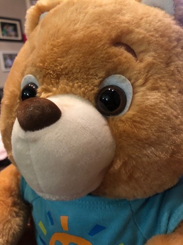 My Friend Teddy Plush Soft Interactive Talking Bear