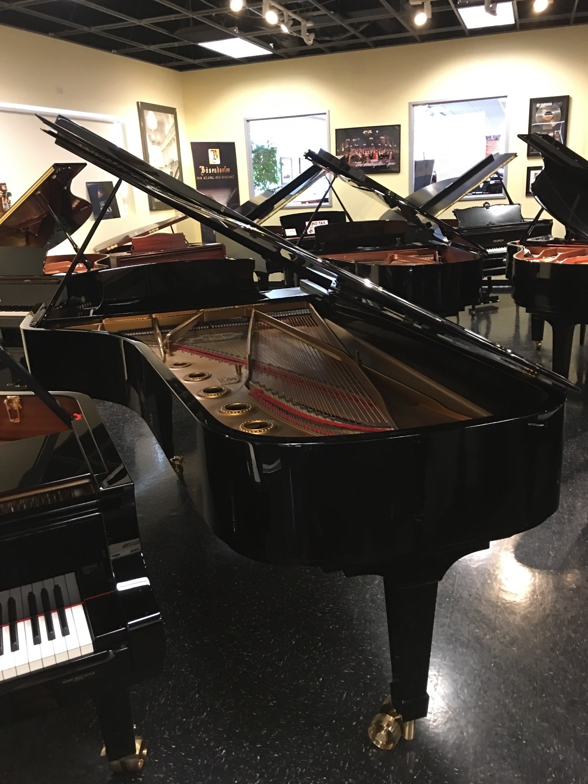 Steinway D Concert Grand Piano Polished Ebony