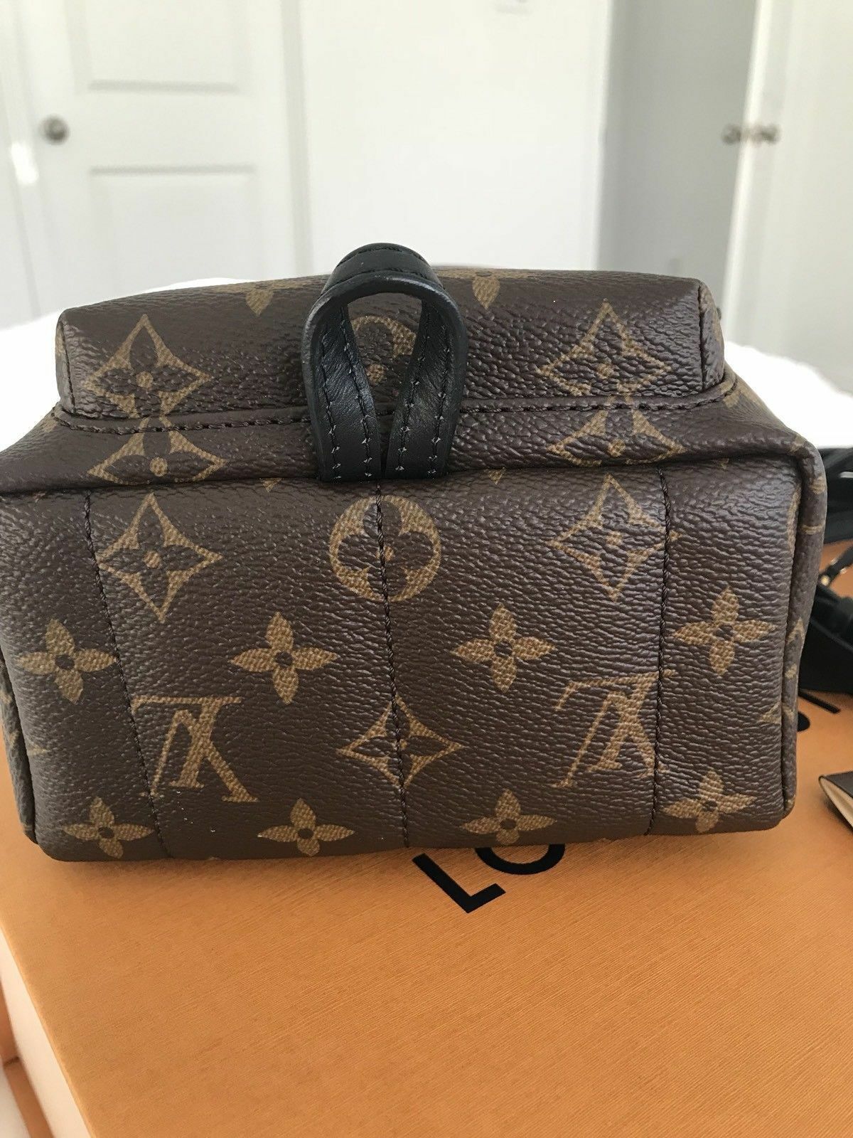 Louis Vuitton Palm Springs Mini Backpack