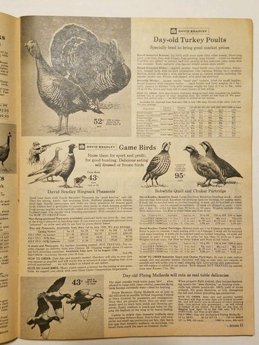 1961 Sears Roebuck Suburban Farm Supplies & Fencing Catalog Vintage