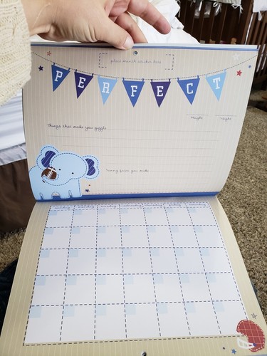C.R. Gibson Baby's First Year Calendar with Stickers 