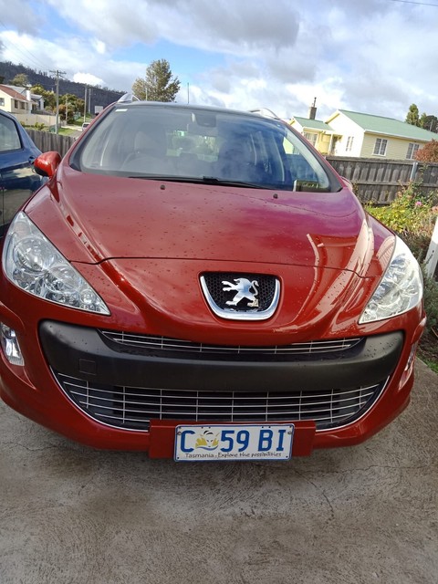 Canbus peugeot 308