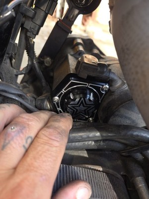 Fotos del artículo de un comprador verificado