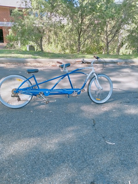 schwinn tango tandem bike
