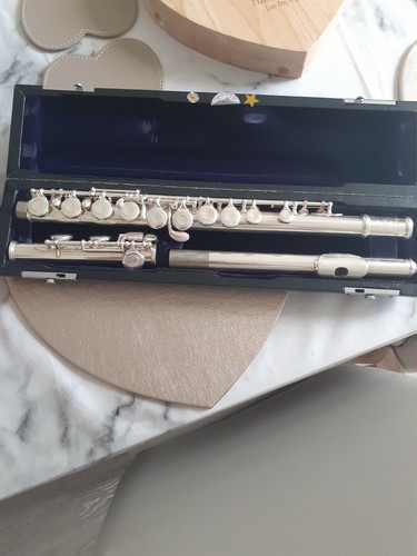 trevor james tj10x フルート　専用ケース　美品　中古品 trevor james tj10x フルート 専用ケース 美品 中古品 Yahoo