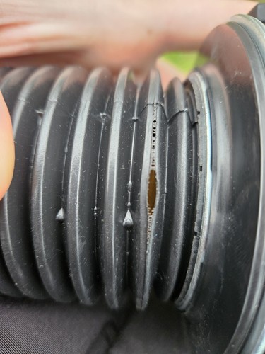 Artikelfoto(s) von einem verifizierten Käufer