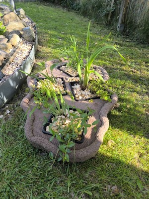 Artikelfoto(s) von einem verifizierten Käufer