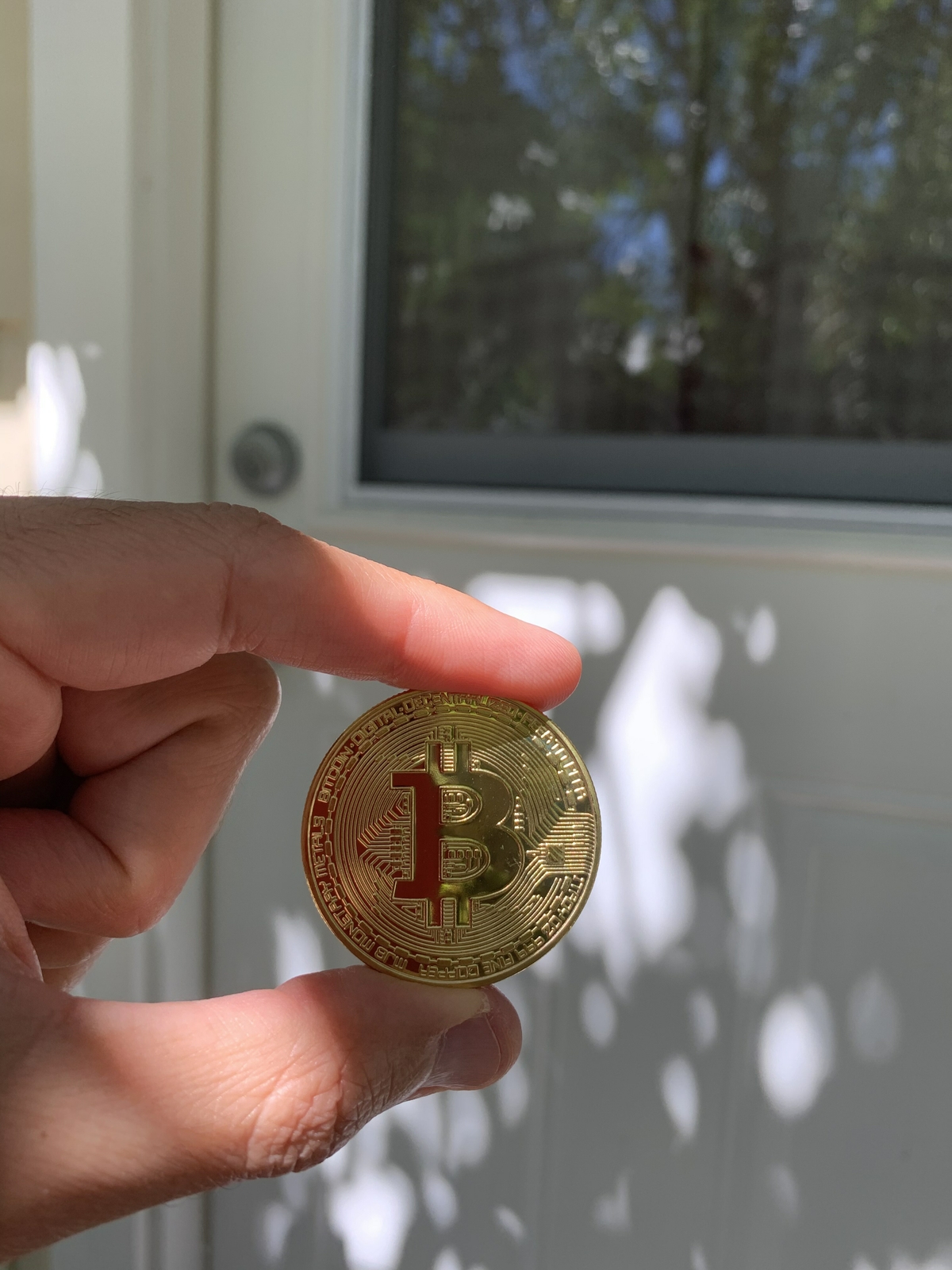 2 - BRAND NEW Physical Real 1oz BITCOIN Gold Plated 38mm Collectible BTC  Coin | eBay