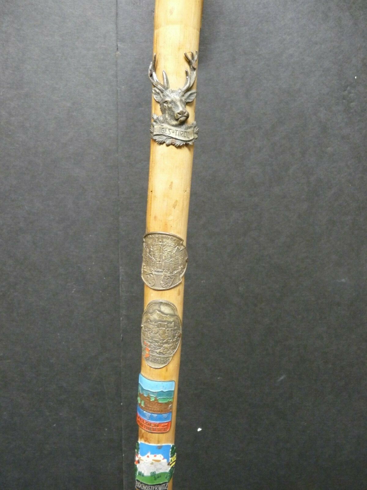 Austrian Walking Cane Spike Tip Six Badges Alps