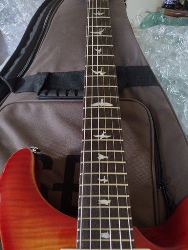 ギター PRS Paul Reed Smith SE CUSTOM 24 PRS Paul Reed Smith SE Custom 24 Limited Edition Electric Guitar