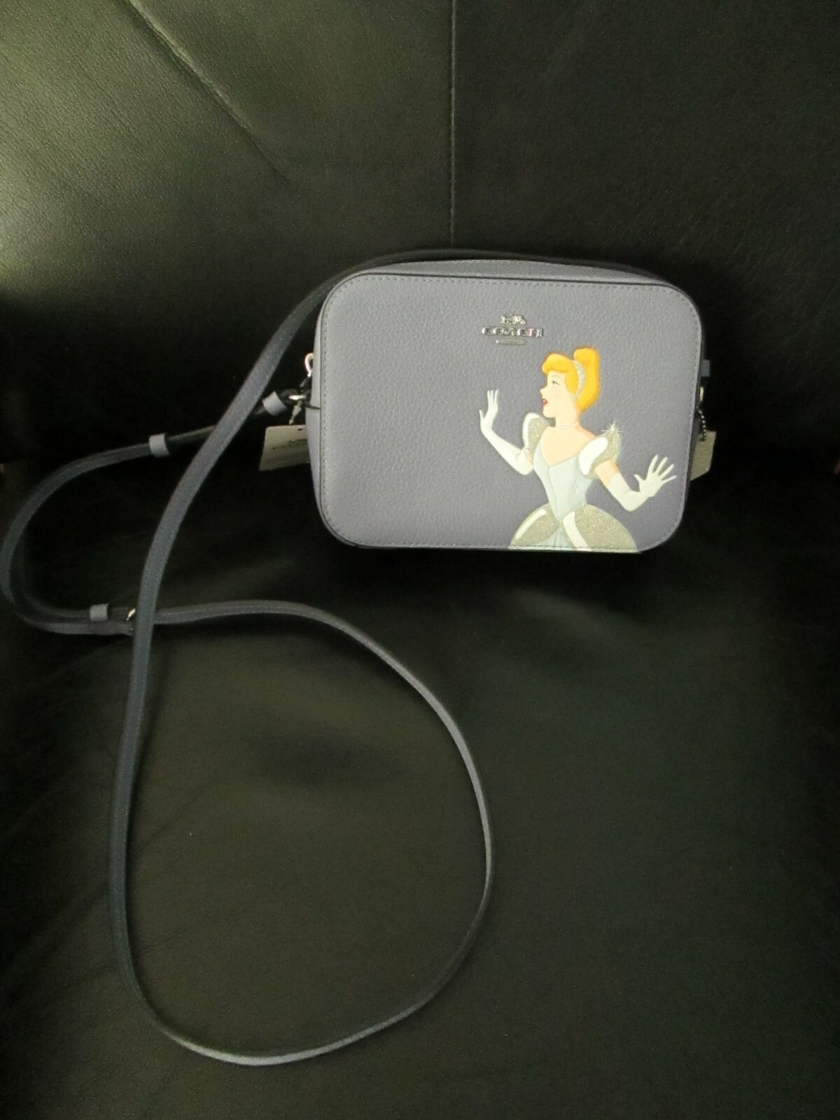 セットアップの通販 珍しいディズニー コーチ プリンセス シンデレラ ミニ カメラ バッグ財布クロスボディ 新品 タグ付き 販促サービス Pescarpeixe Com