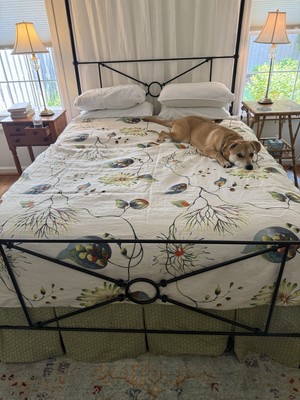 Artikelfoto(s) von einem verifizierten Käufer