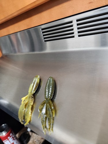 Artikelfoto(s) von einem verifizierten Käufer