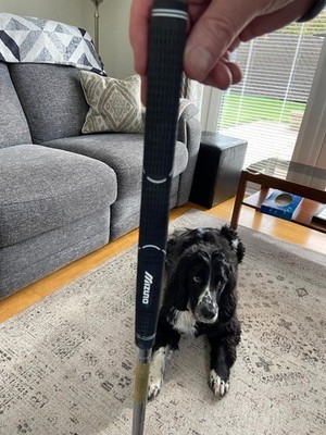 Artikelfoto(s) von einem verifizierten Käufer