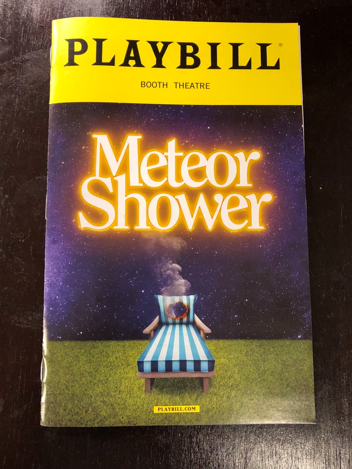 Meteor Shower Playbill Amy Schumer Laura Benanti Steve Martin Broadway