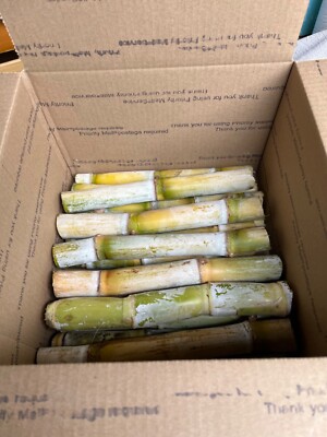 Organic Sugarcane 10lb
