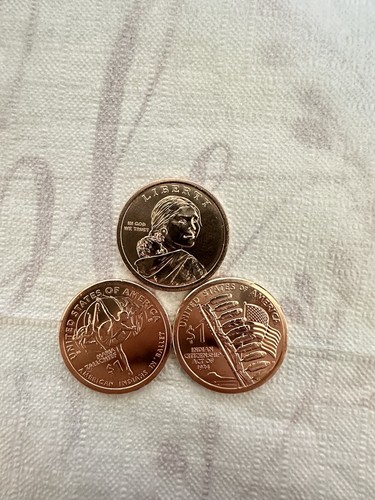 2024 S - $1 Native American Indian Sacagawea Coin In US Mint Plastic - Foto 2