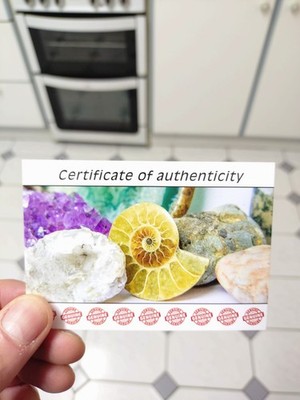 Artikelfoto(s) von einem verifizierten Käufer