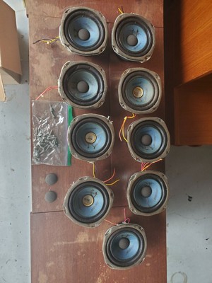 bose 901 continental