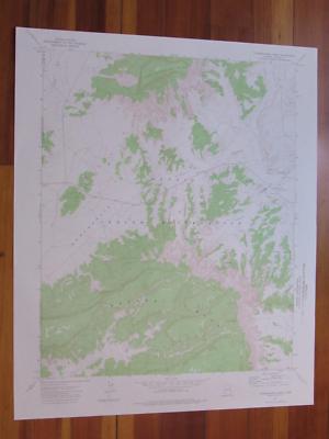 Toadimdaaska Mesa Arizona 1976 Original Vintage USGS Topo Map