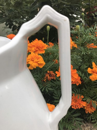 Antique Charles Meakin Hanley England Ironstone China Pitcher 12” White