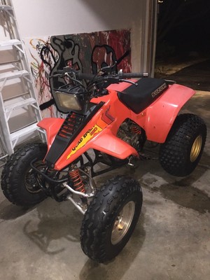 1987 suzuki quad sport 230