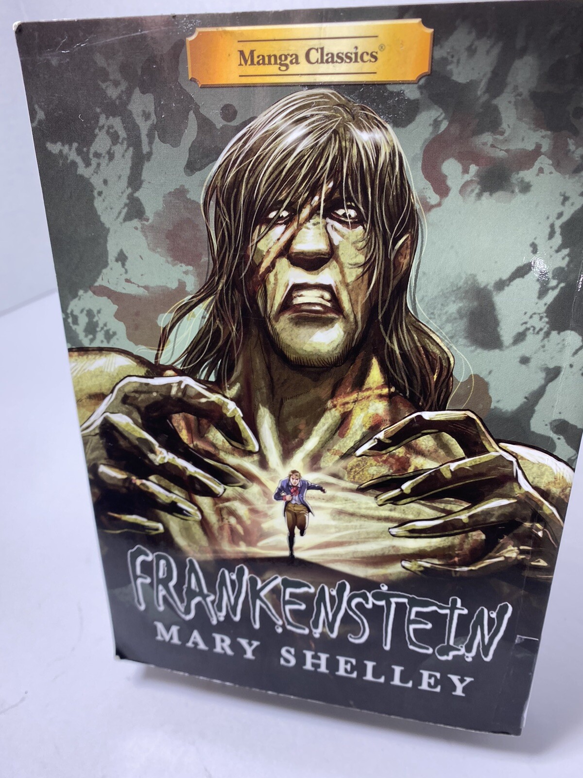 フランケンシュタイン Frankenstein by Mary Shelly Manga Classic Literature FRANKENSTEIN by Mary Shelly, Linus