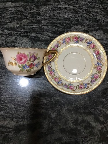 Rosenthal Continental VIENNA Cup & Saucer 5963312