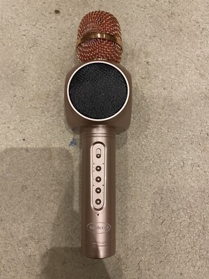 karaoke microphone