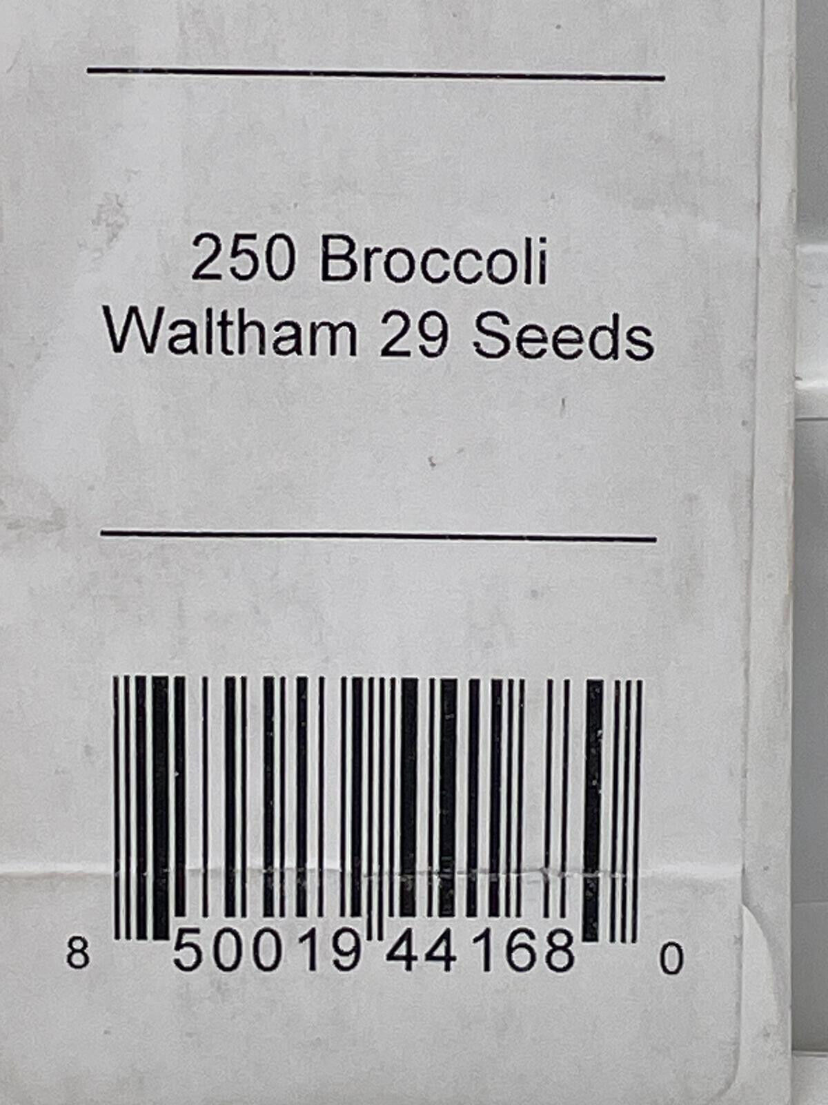 Instant Latch 250 Broccoli Seeds | Non-GMO | Fresh Garden Seeds