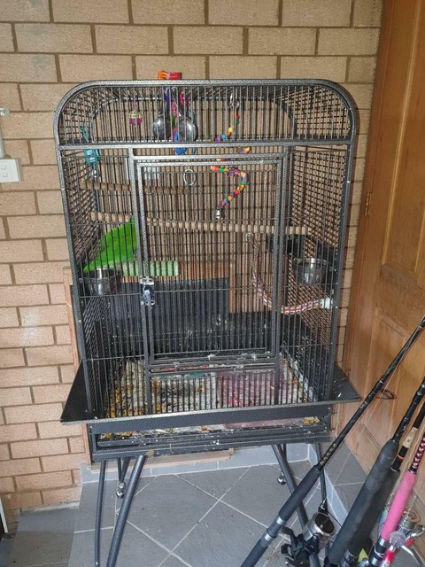 lorikeet cage