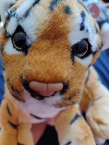 Artikelfoto(s) von einem verifizierten Käufer