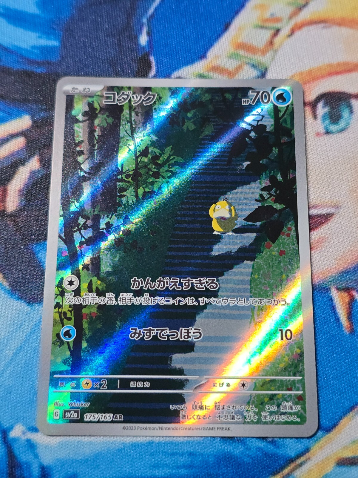 $_57.JPG?set_id=880000500F