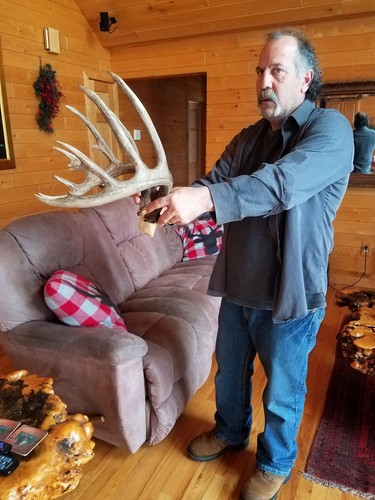 14 point whitetail deer antlers