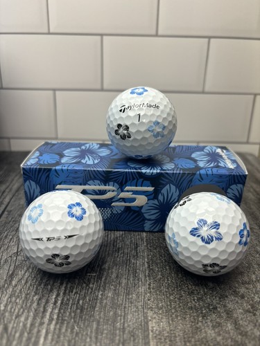 レア　限定版ジグソーパズル \"Infamous Golf Holes\" Amazon | チャップマン 幻のゴルフ場 19番ホール 2000ピース