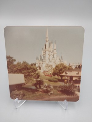 Vintage Landscape Architecture Photography Photo Vintage Photograph 24